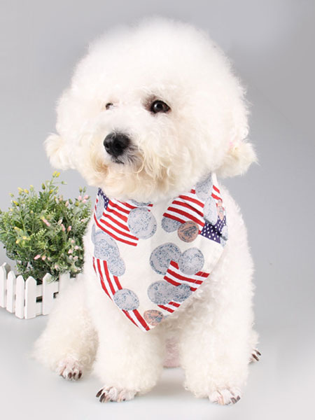 Image of Pet Neck Scarf Cotton Print Bow Tie Headband Ecru White Dog Bib