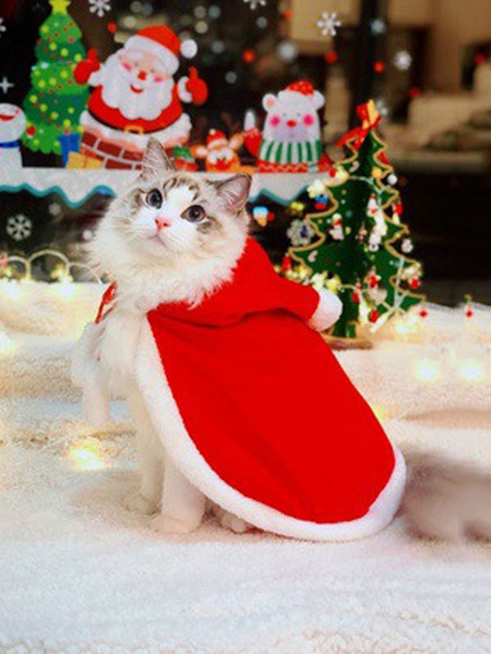 Image of Forniture per animali domestici in poliestere con mantello rosso natalizio