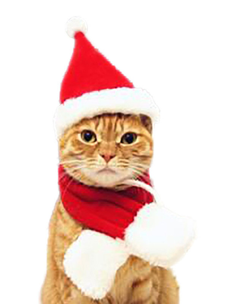 Image of Pet Cat Costume Natale Sciarpa rossa Articoli per animali domestici in poliestere