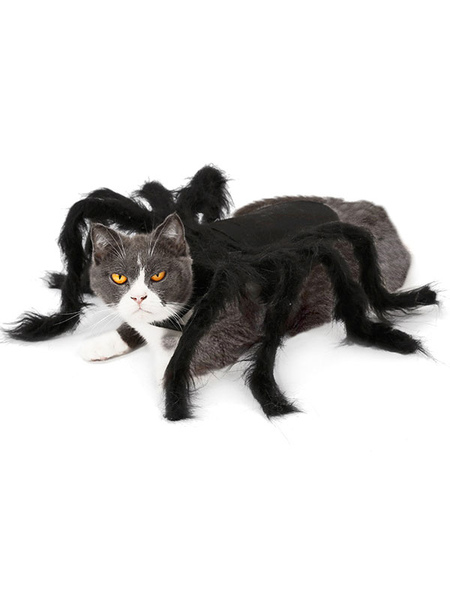 Image of Costume da ragno animale Costume di Halloween da cucciolo di gatto nero in poliestere