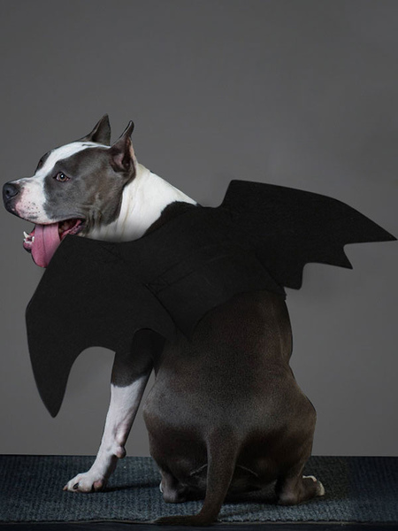 Image of Costume da animale Costume di Halloween da cucciolo nero in poliestere con ali malvagie