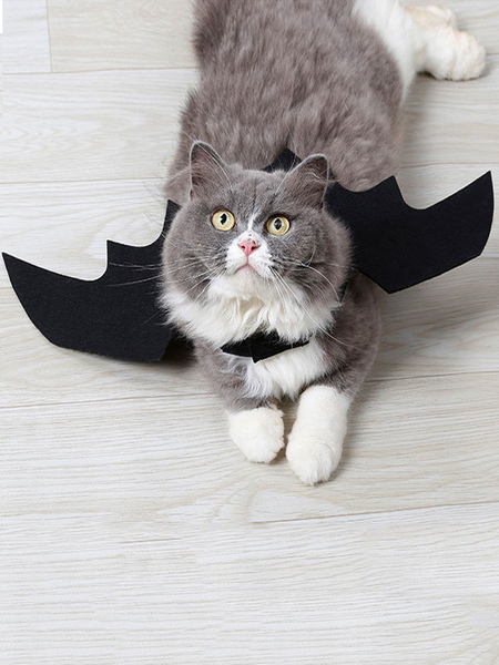 Image of Costume da animale Costume di Halloween da gatto nero in poliestere con ali malvagie