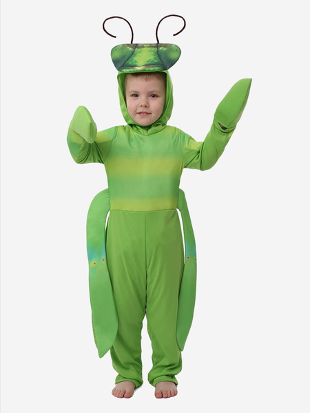 Image of Costumi di Halloween per bambini Costumi di animali Mantodea verde