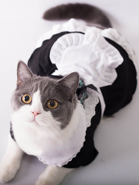 Image of Carnevale Costume per Animali Domestici nero di poliestere cameriera per cuccioli abito Halloween