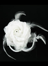 Linge blanc et plume Rose Wedding Bridal cheveux fleur