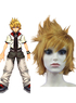 30センチメートルキングダムハーツIIのロクサスコスプレウィッグ