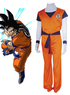 Dragon Ball Kame Hame Practising Clothing Cosplay Costume