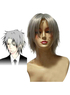 Reborn Gokudera Hayato Cosplay Wig