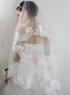 Belle fil Parchemin voile brod&eacute; de mari&eacute;e mariage
