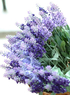 Light fleur pourpre lavande Etoffe de soie