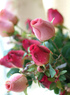 Lovely Rouge vif et rose Roses en tissu de soie de soie Bouquet de fleurs