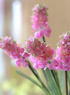 Pink 38cm de haut de 4cm de diam&egrave;tre en tissu de soie florale Hyacinthe