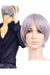 Toussaint Cosplay Perruque nylon pourpre clair 30 cm Vampire Knight KIRYU ZERO