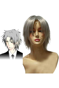 Reborn Gokudera Hayato cosplay wig