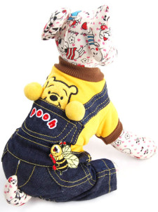 Hip+hop+dance+costumes+2011