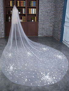 Mariage cathédrale voile dentelle Tulle fleurs bord coupé 1 couche Long voile de mariée avec peigne