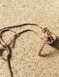 Fabuleux collier mode