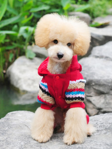 Sweater d'hiver pour chien, coton à peluches adorable