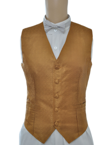 Gilet steampunk doré à carreau deluxe