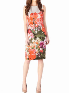Attrayante robe bodycon multicolore de col ras du cou imprimé florale en gaze