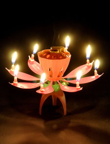 Bougie de lotus de PVC