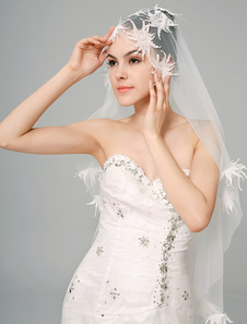 Voile cathédrale magnifique d'une couche en tulle avec applique