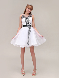 Mini robe de érémonie de diplôme A-ligne en organza brodé de col rond