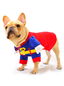 Costume une pièce rouge de Superman pour animaux de compagnie