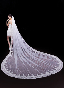Voiles de mariée de la mariée moniste dentelle Tulle 350cm