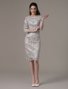 Robe de cocktail fourreau dentelle argent col rond longueur genou