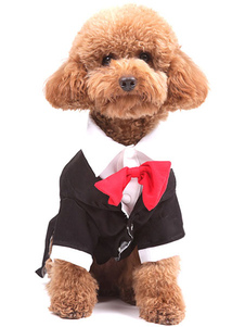 Vêtements arcs multicolore synthétique chiens pour animaux de compagnie