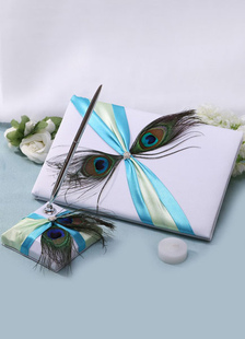 Arcs de plumes de paon multicolore mariage livres et stylos