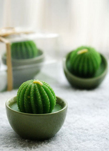Bougie de cire gaufrée vert Cactus faveurs de mariage