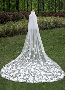 Cathédrale de voiles dualiste dentelle fleur cascade coupe bord voile avec peigne (longueur 300cm)