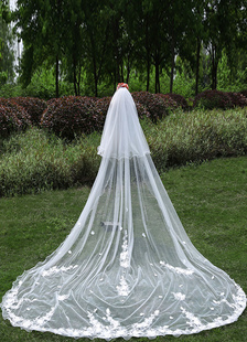 Cathédrale de mariage voiles Lace cascade dualiste voiles avec bord de crayon avec un peigne (longue