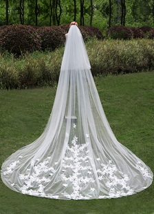 Voile de mariée cathédrale cascade dualiste dentelle bord voiles avec peigne (longueur 300cm)