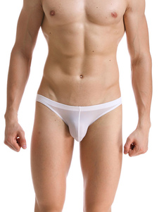 Slips Sexy semi Sheer lingerie