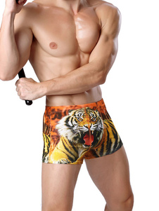 Tigre a imprimer sous-vêtements malles boxeur pour hommes