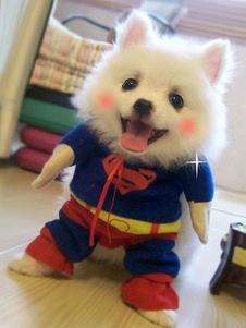 Costume de Superman bleu chien Costume Kawaii Pet