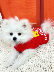 Habillement de Pet Holloween Costume Batman rouge chien