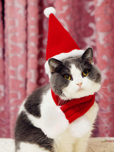 Santa Clause Pet Costume rouge bonnet et écharpe pour chat