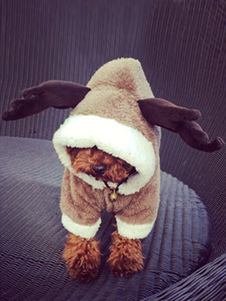 Noël renne Pet Jumpsuit Costume flanelle marron chien