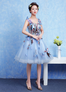 Robe de cérémonie A-ligne en tulle Baby Blue col V avec papillon longueur genou