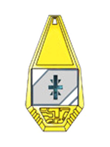 Cosplay de Badge Digimon Digital Monster accessoires honnêteté