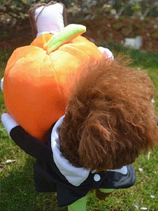 Déguisement citrouille se peloter momie Orange polaire chien vêtements