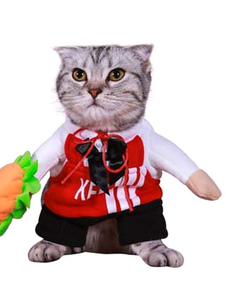 Halloween chat chien debout Costume KCF