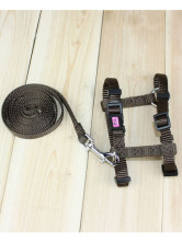 Collier Pour Chien Chéri Bob Nylon Brun