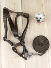 Collier Pour Chien Chéri Bob Nylon Brun