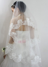 Beautiful Beige Parchment Yarn Embroidered Wedding Bridal Veil