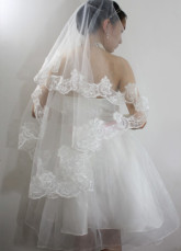 Beautiful Beige Parchment Yarn Embroidered Wedding Bridal Veil